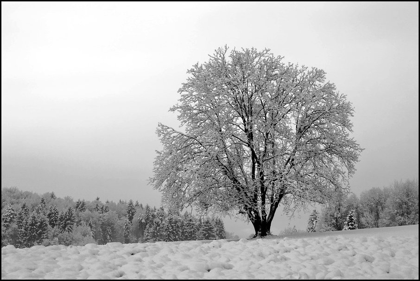 Na svoji strani by Ivan Petrič