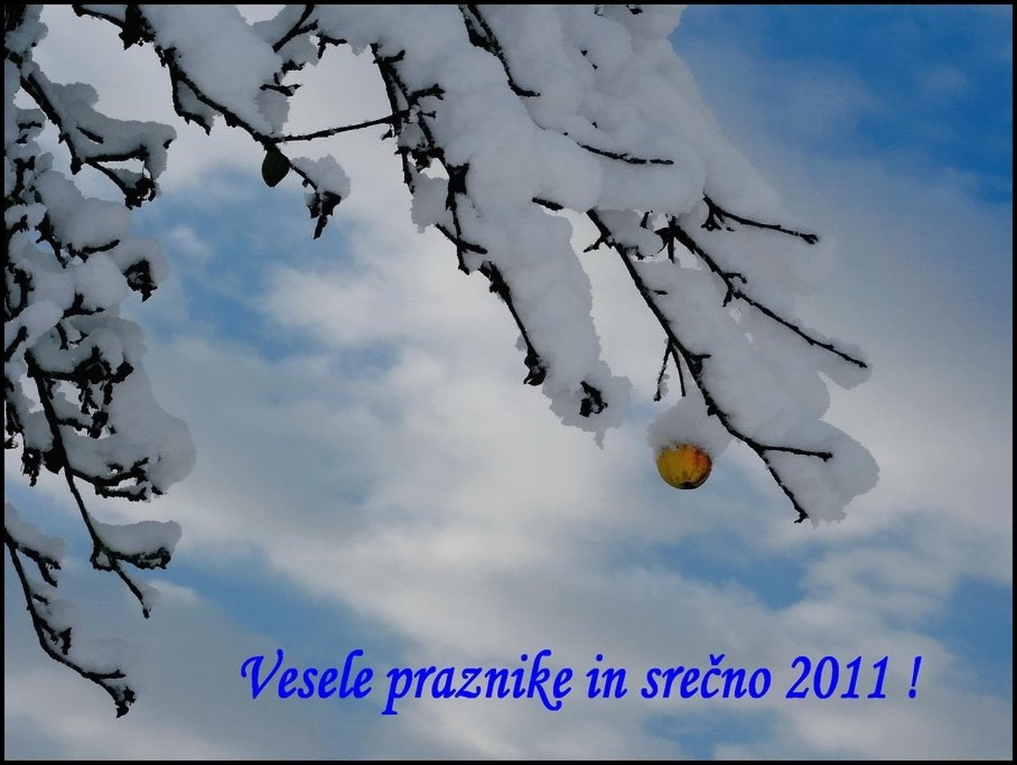 2011 by Ivan Petrič