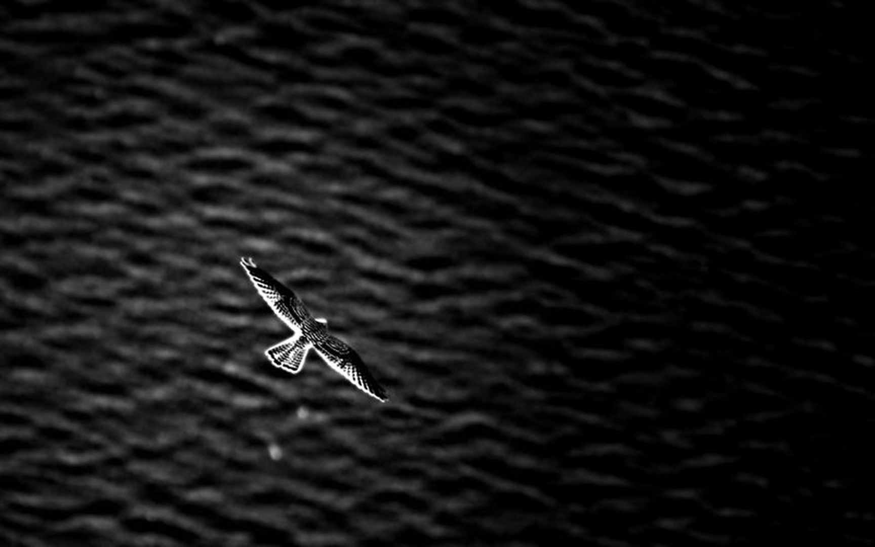 Limitless by D.A.
