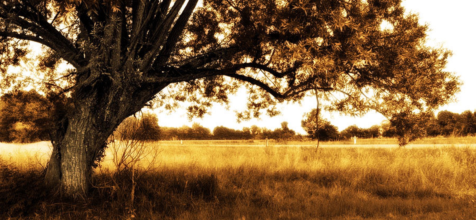 Once upon a time.. by