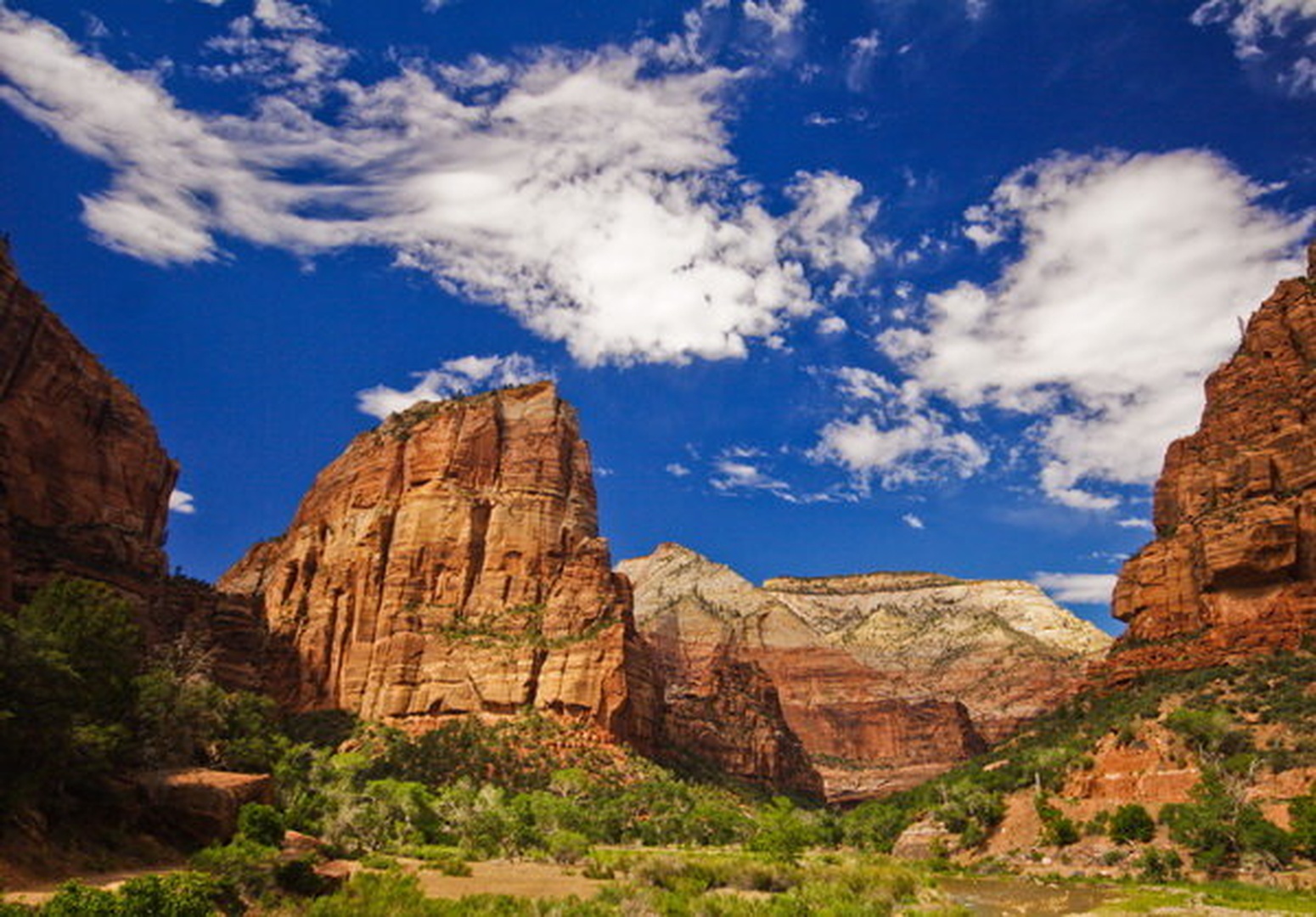 Zion national park by uroš medved