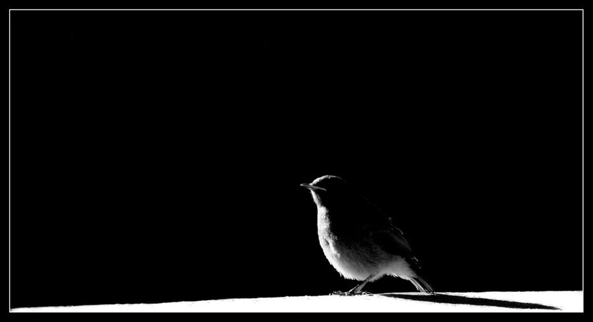 Lonely by