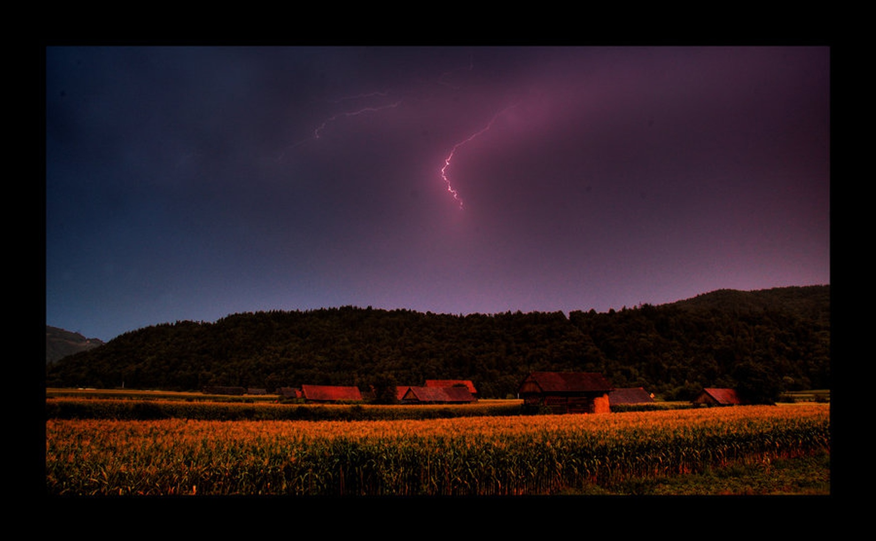 strela by Nejc Volarič