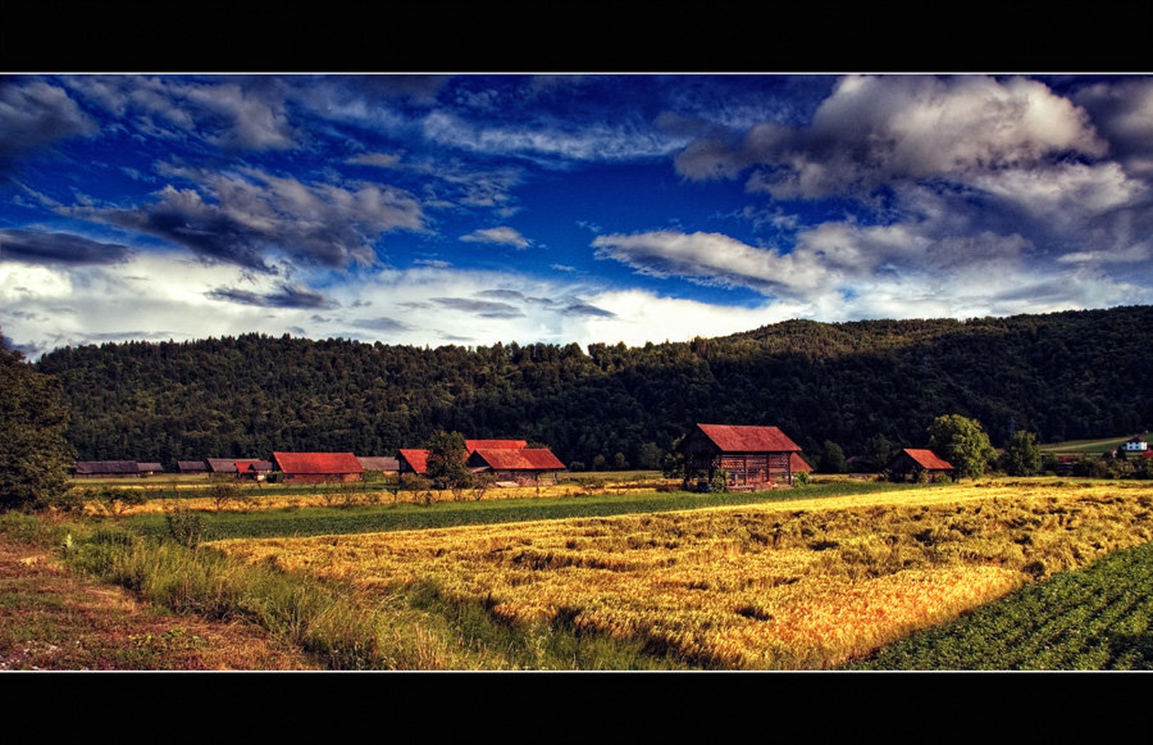 Polje by Nejc Volarič