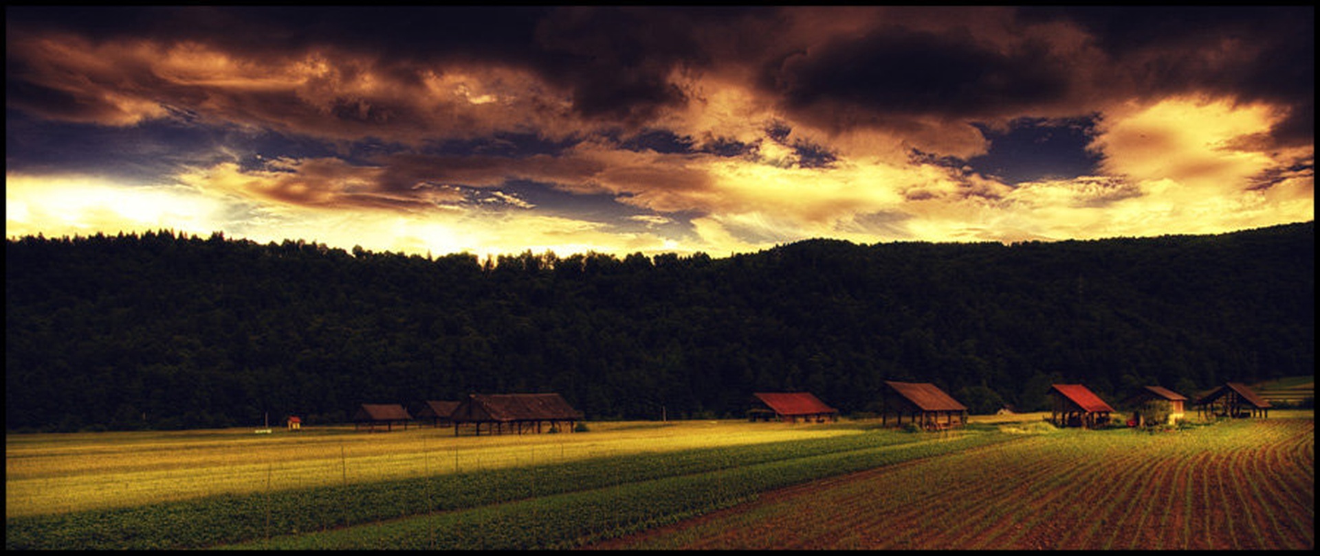 Polje 2 by Nejc Volarič