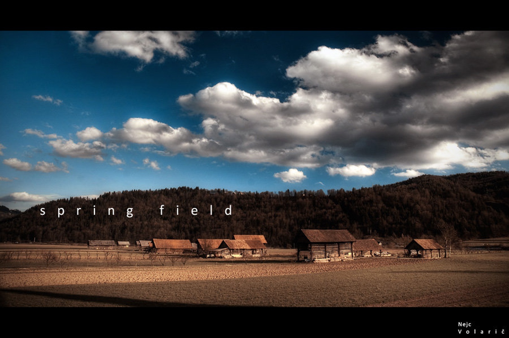 spring field by Nejc Volarič
