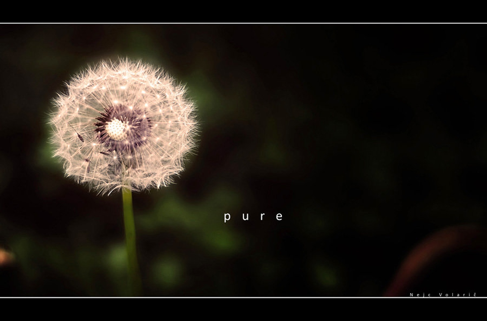 pure by Nejc Volarič