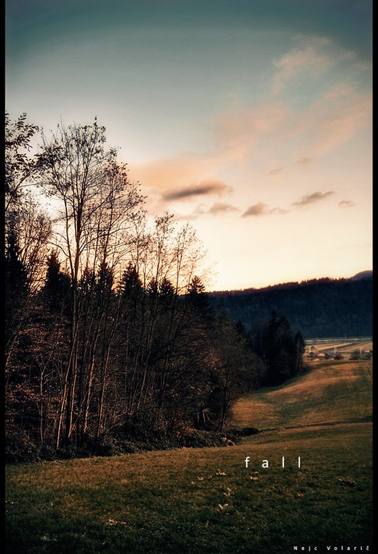f a l l by Nejc Volarič