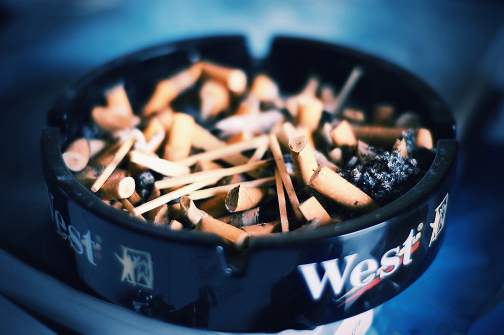 In fact, they taste delicious. by Nejc Volarič
