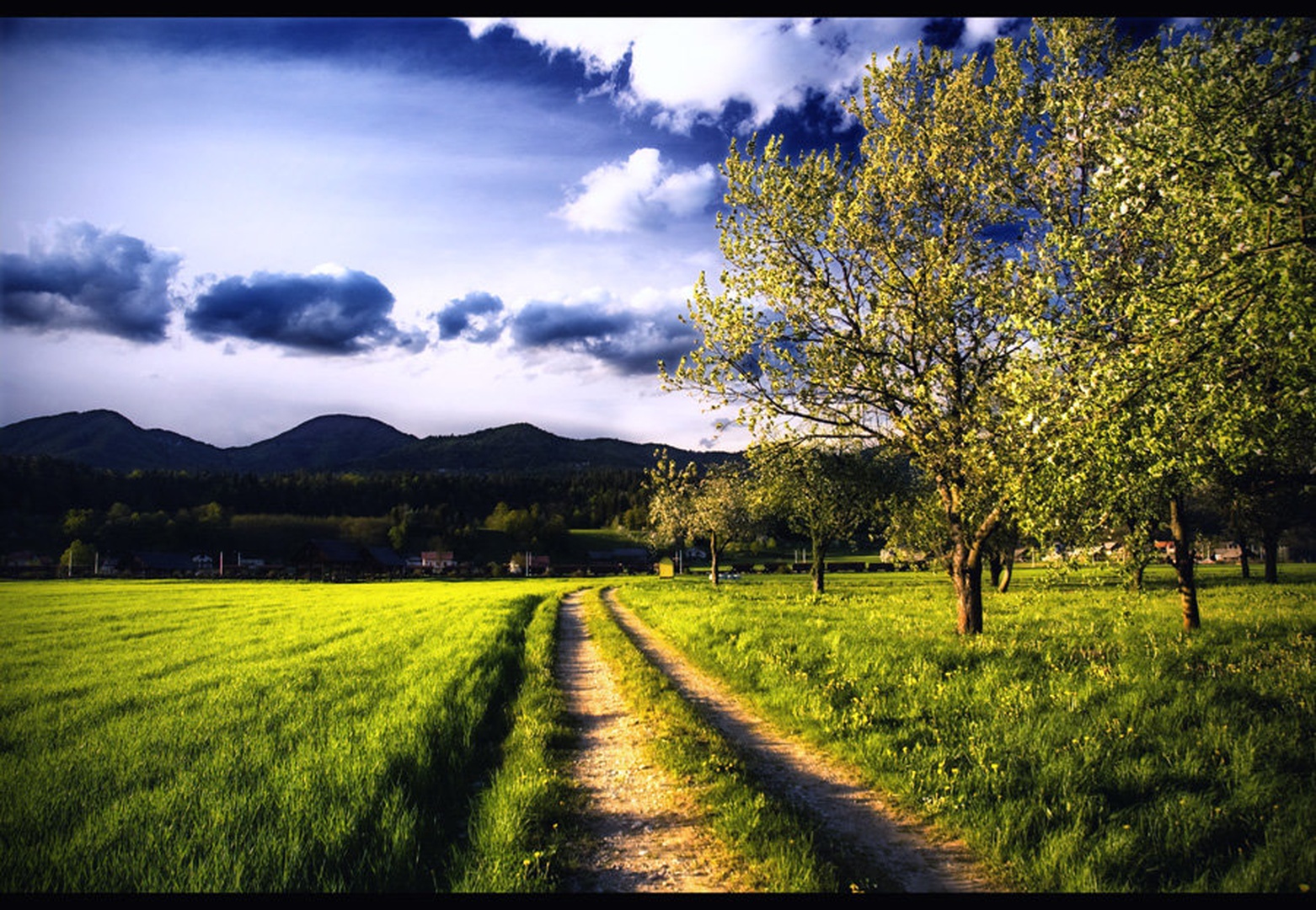 A Spring Walk by Nejc Volarič