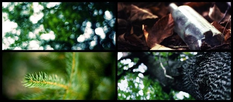 Forest shapes II by Nejc Volarič