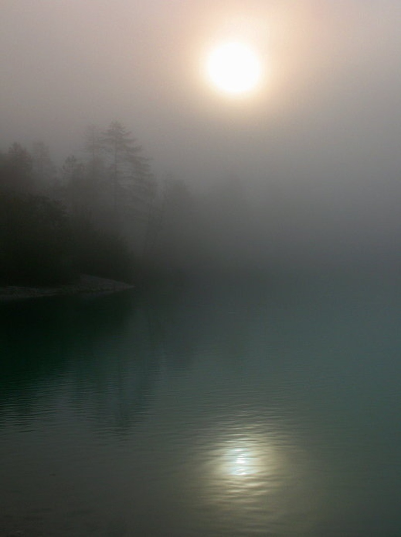 Megleno jutro by Rok Cuder