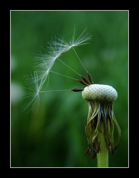 .:Just Keep On:. by Miha Kolar