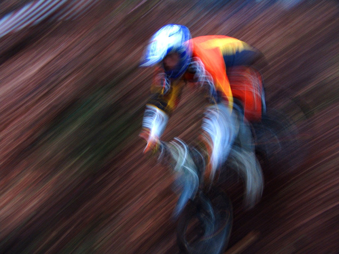 Speed by Miha Kolar