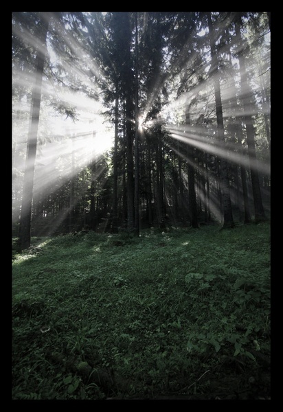 Morning mist II by Miha Kolar