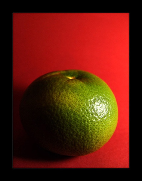 GrapeFruit by Miha Kolar
