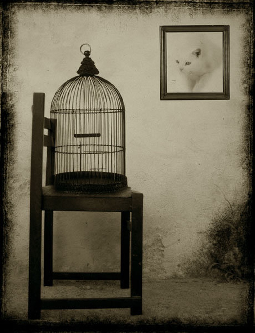 WISH YOU WERE HERE IV by Marko Beslać