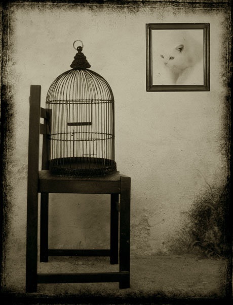 WISH YOU WERE HERE IV by Marko Beslać
