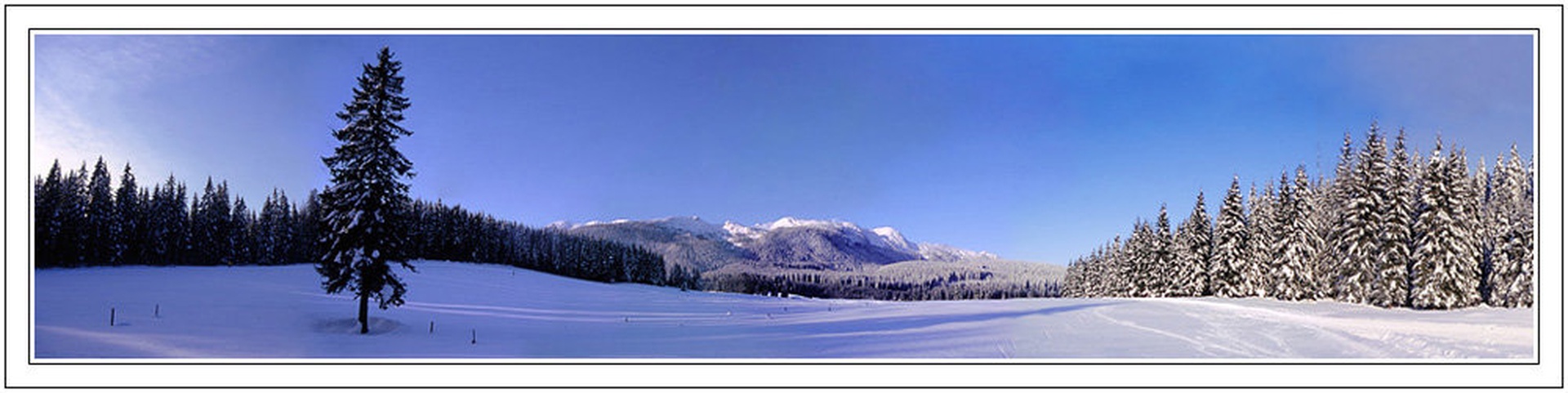 Pokljuka by
