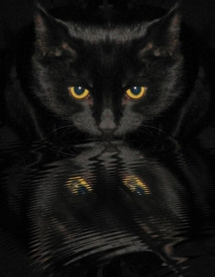 dark by