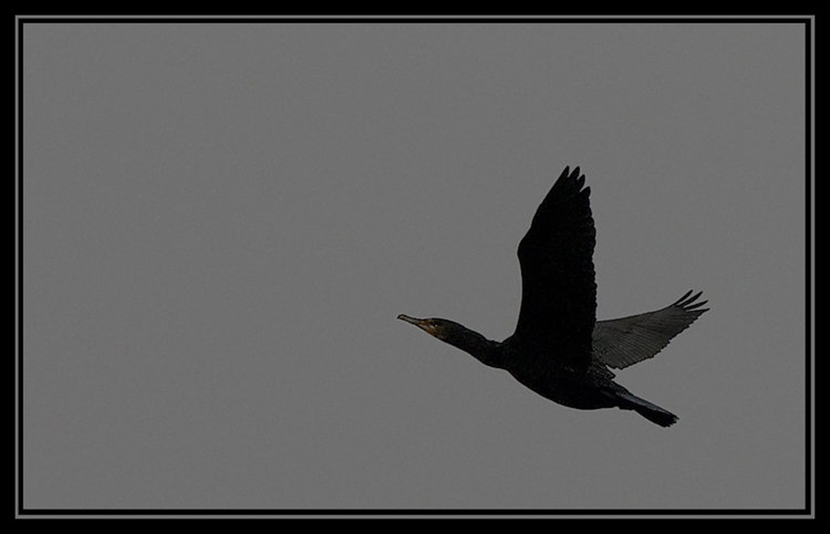 Raising by Erik