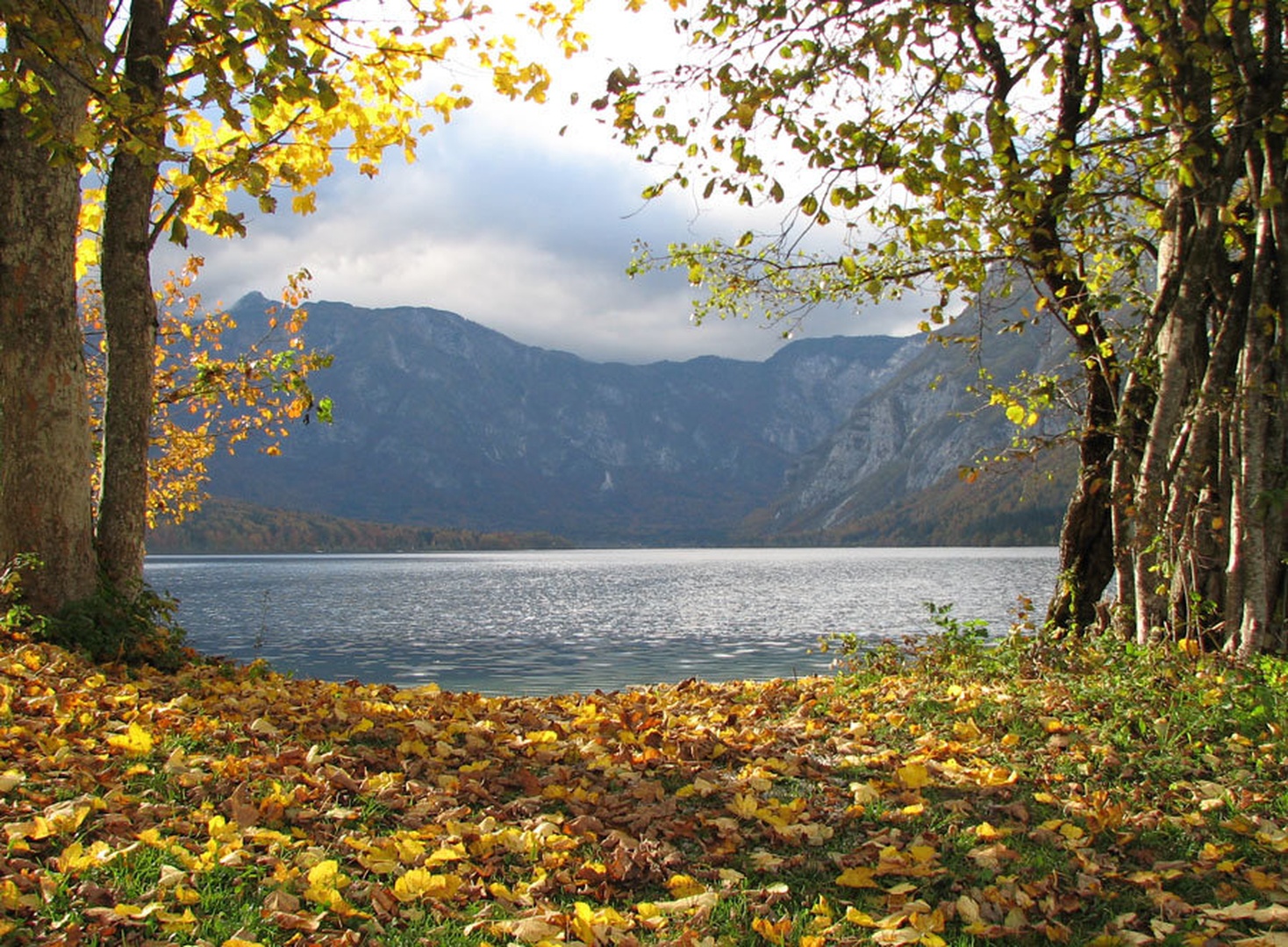 Bohinjsko jezero jeseni by Boris Podlipnik