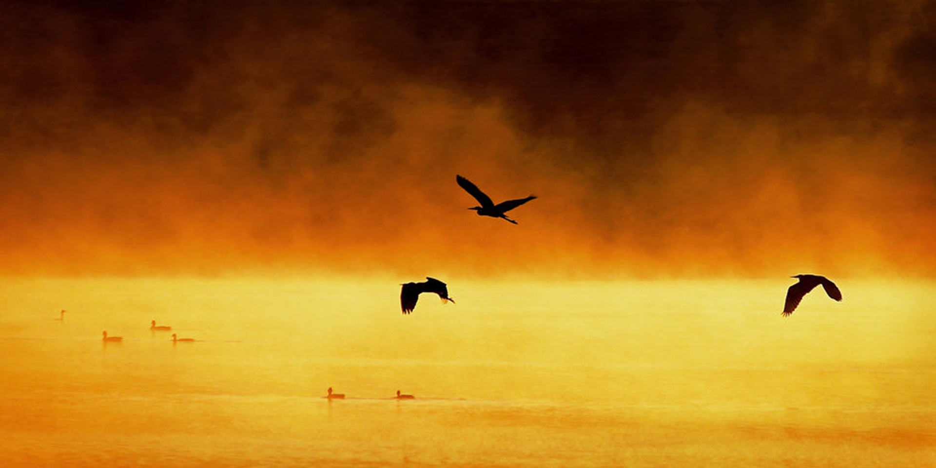 Prelet ... by
