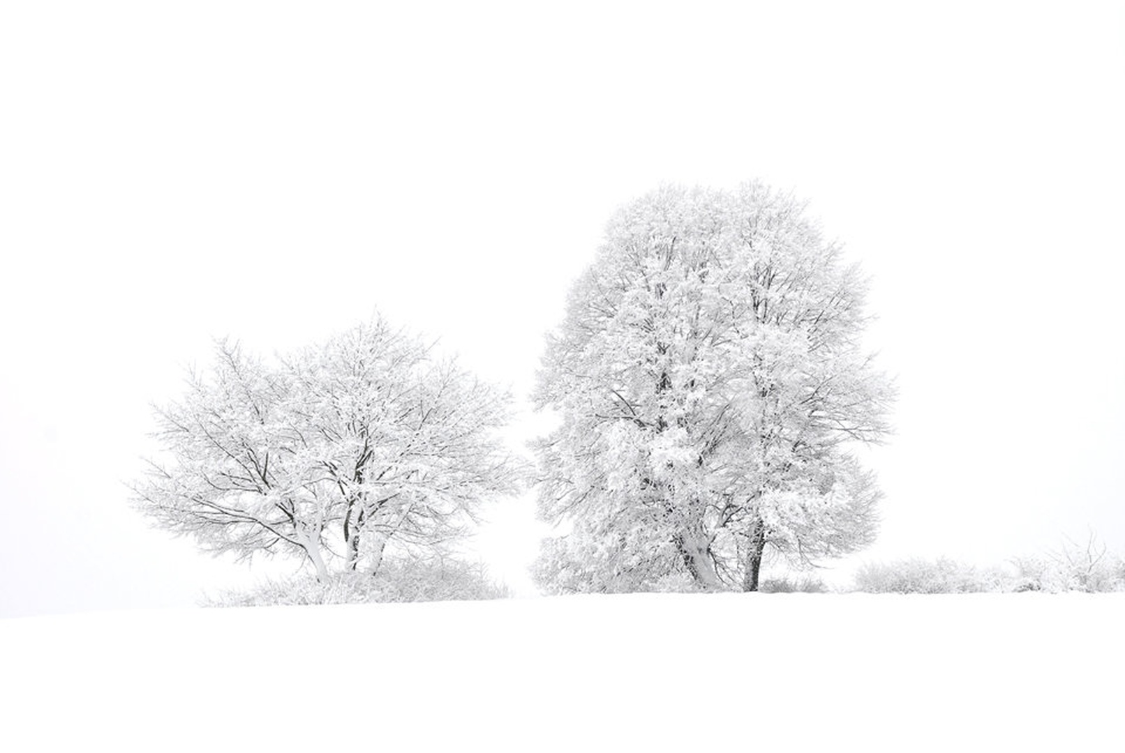 Winter is cold for those without warm memories... by