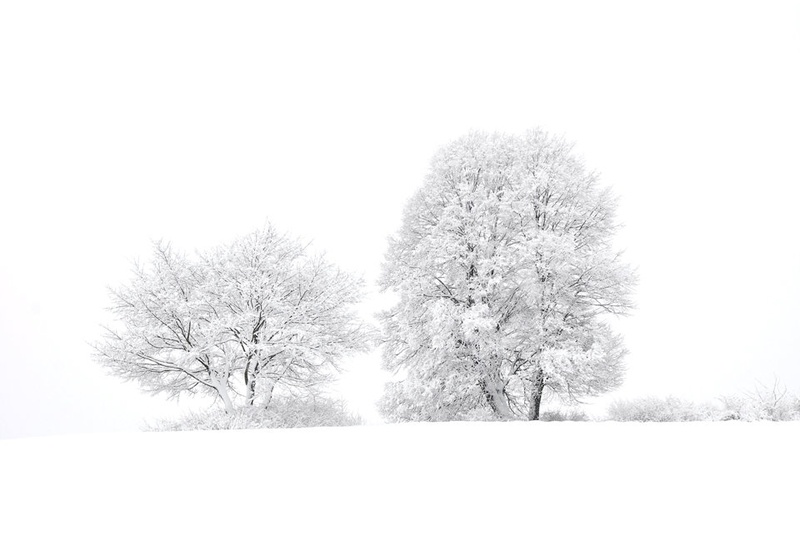 Winter is cold for those without warm memories... by SoulMan