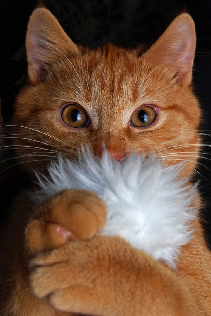 Wanna play? by