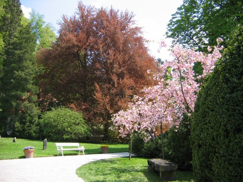 Arboretum by brkne