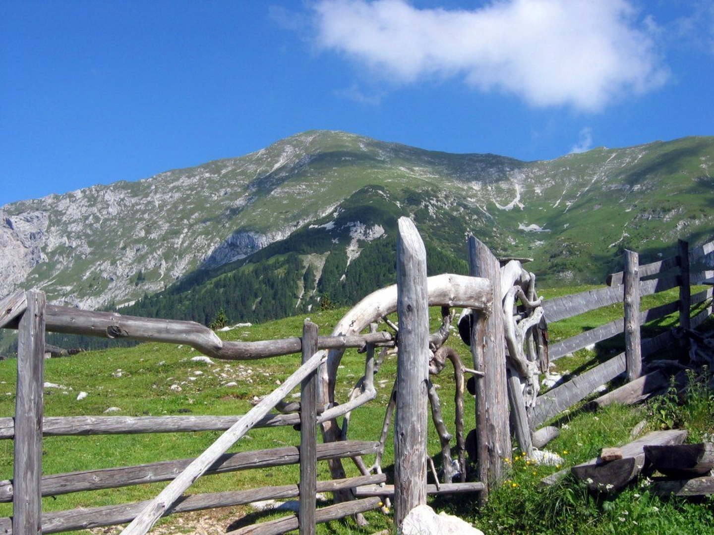 Veliki Vrh s Kofc by