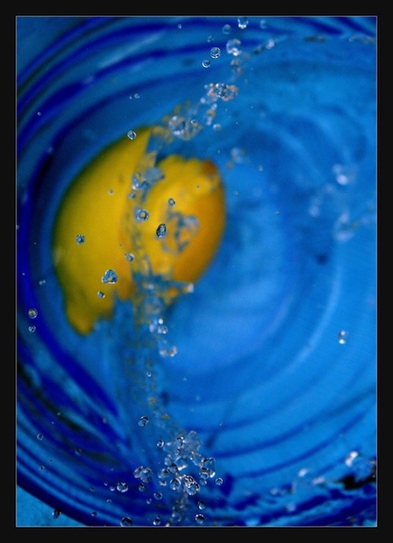 splash by zala