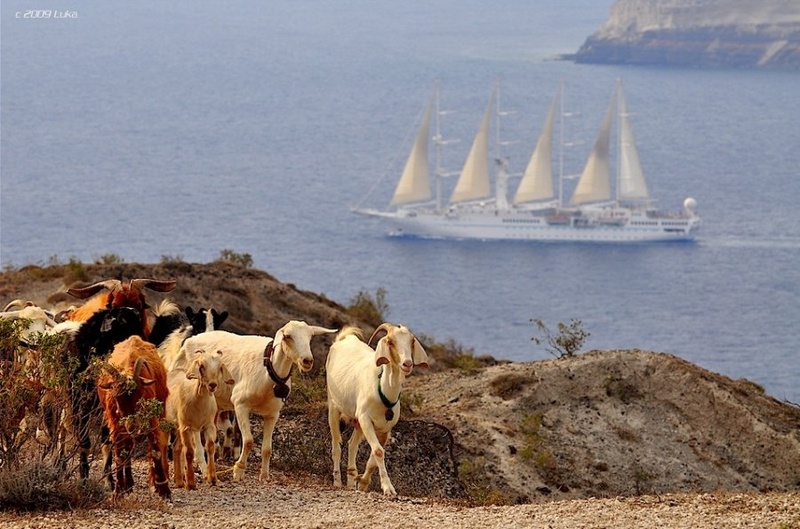 τράγος [gr] by Lucky Luke