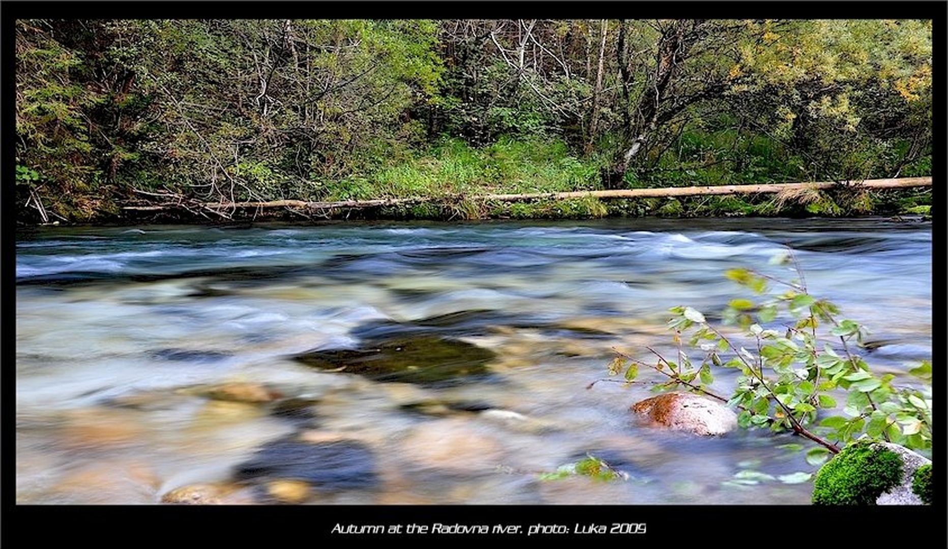 Autumn at the Radovna river by Lucky Luke