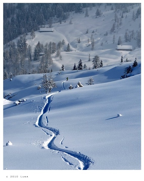 Powder dream by Lucky Luke