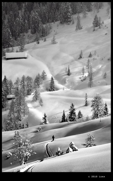 Powder dream II by Lucky Luke