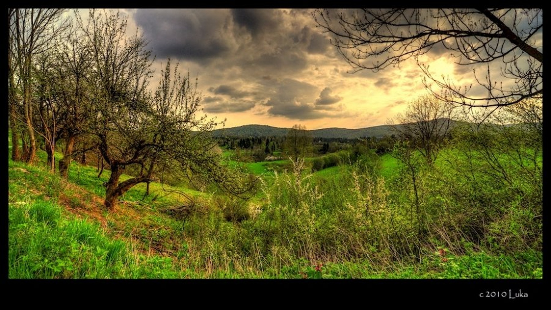 Pomlad je... by Lucky Luke