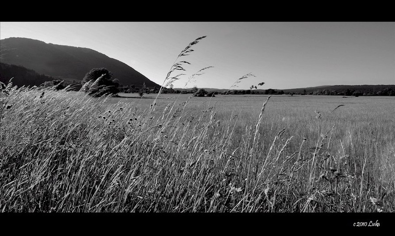Planinsko polje... by Lucky Luke