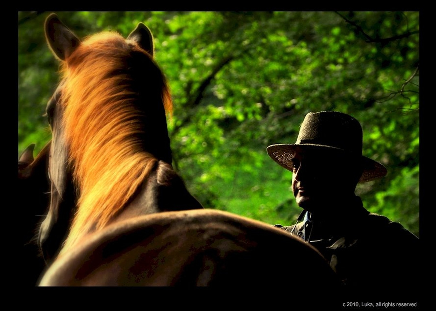 The Horse Whisperer by Lucky Luke