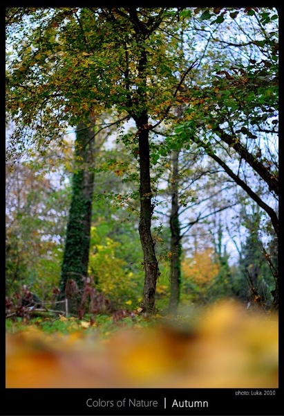 Colors of Nature | Autumn by Lucky Luke