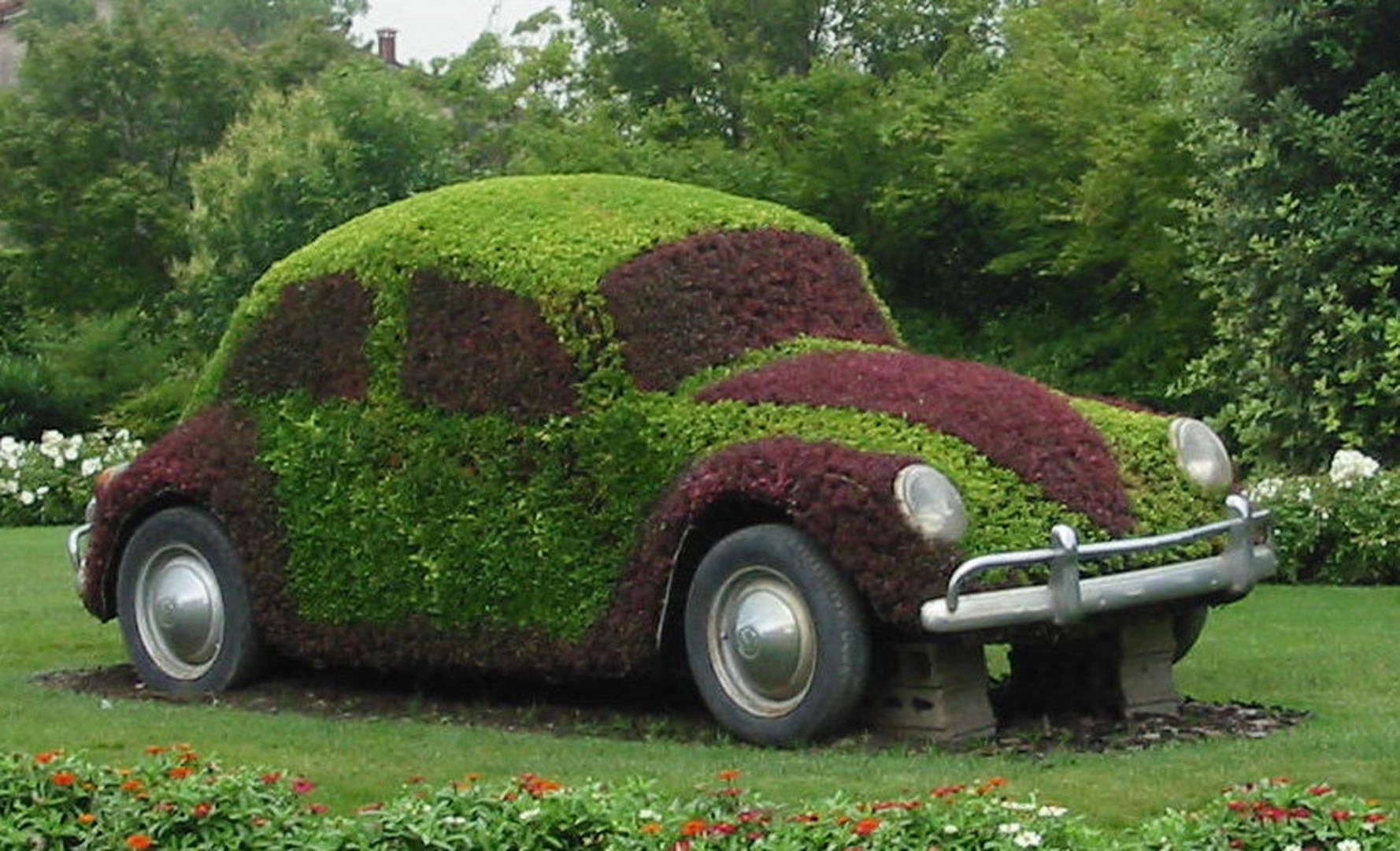Herbie by