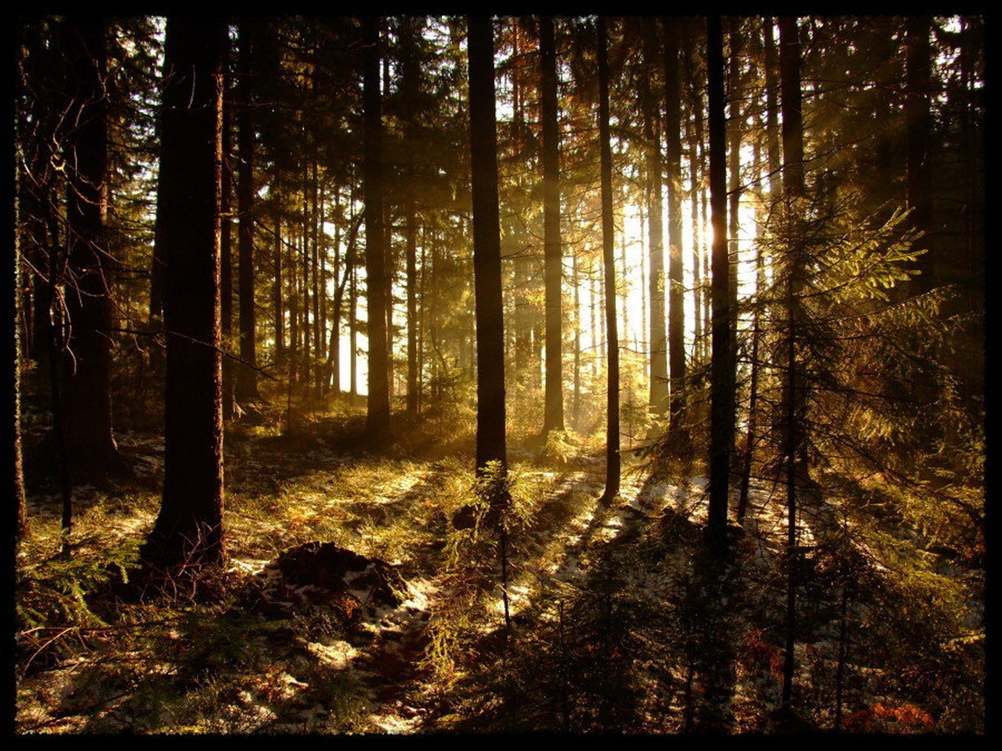Na koncu je svetloba by Jan Obu