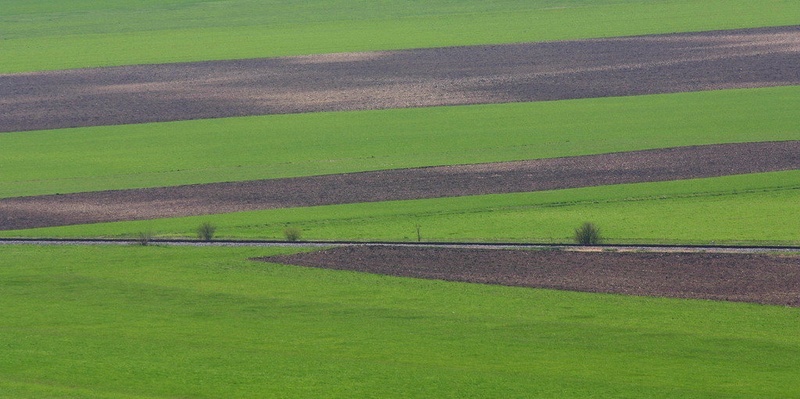 Pomlad by drbojan