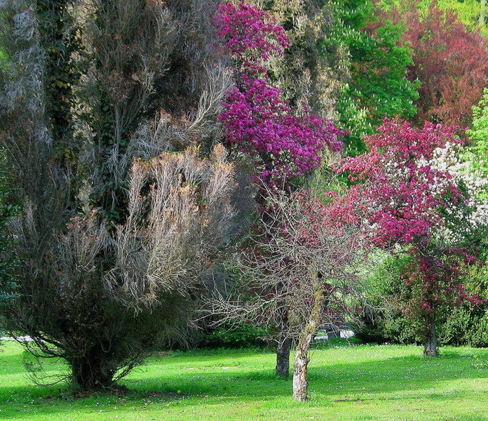Colours by drbojan