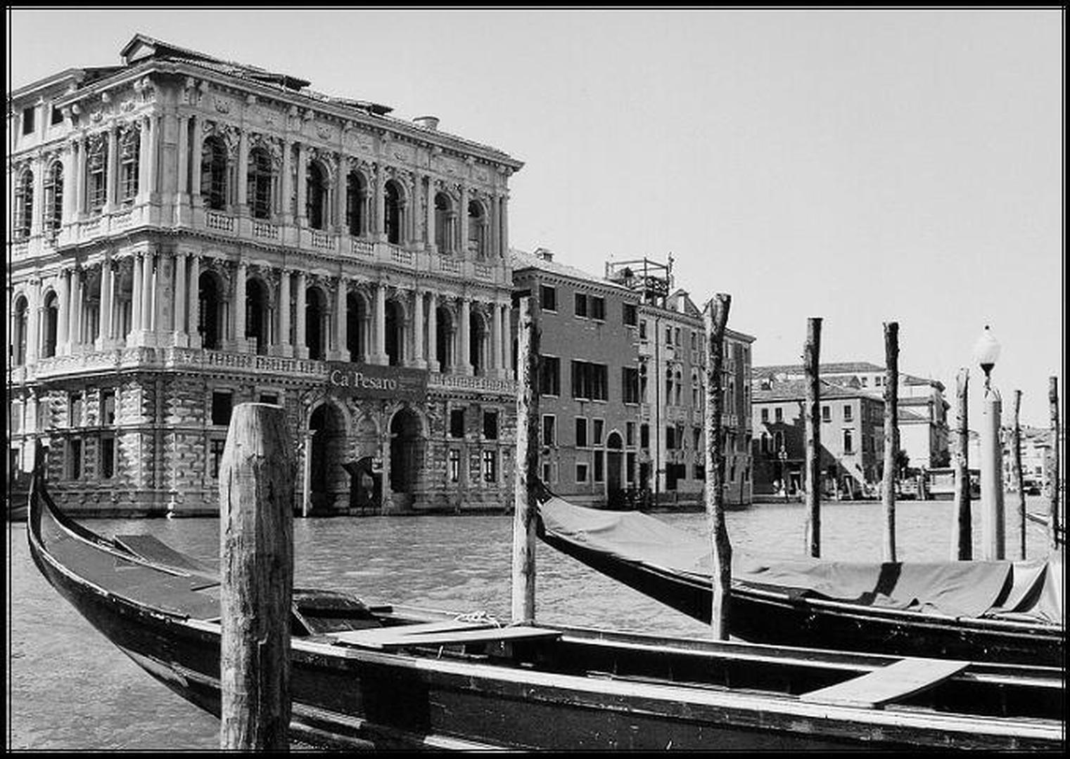 venezia by Dado