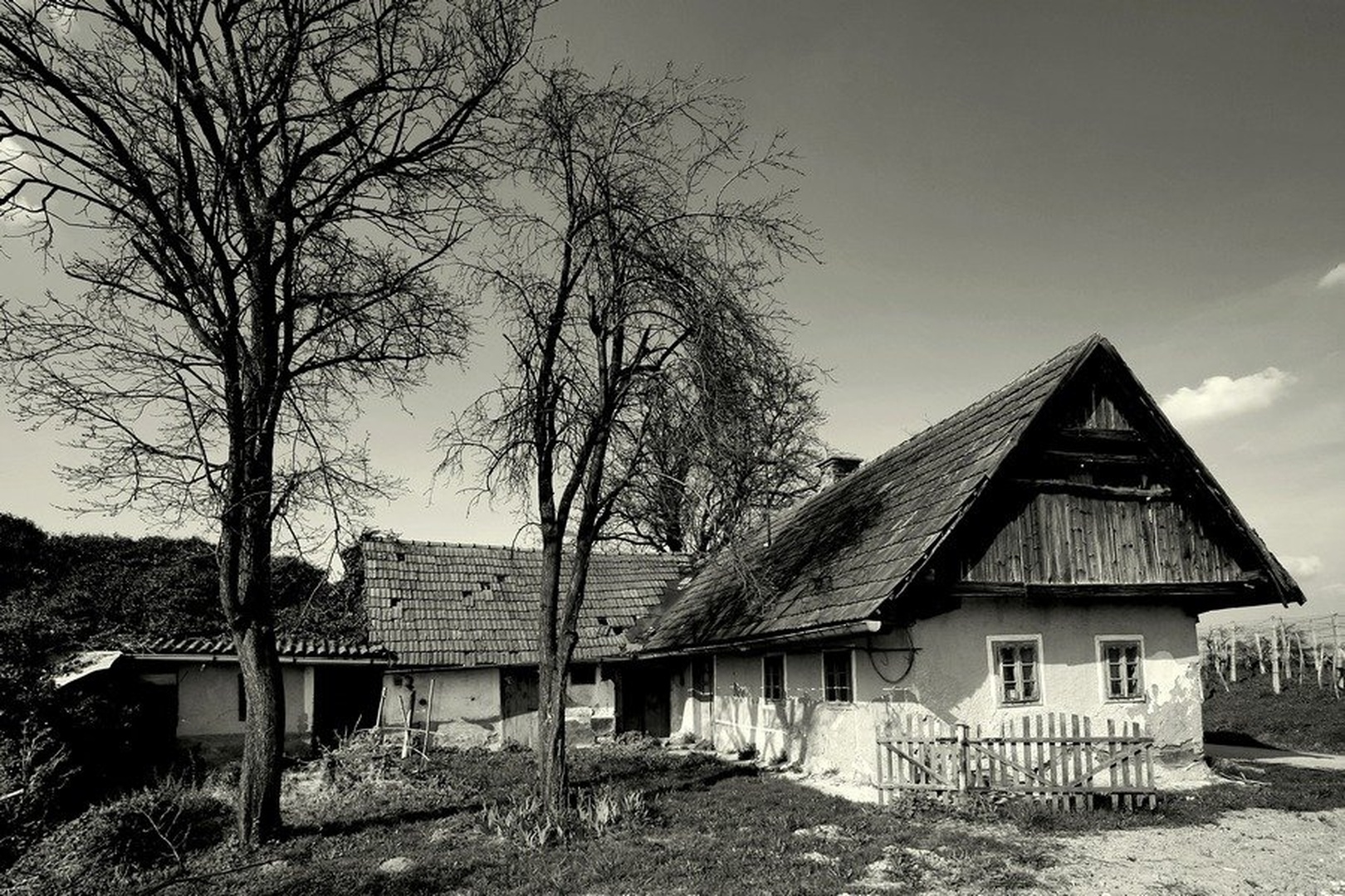 Zob časa by Albin Bezjak