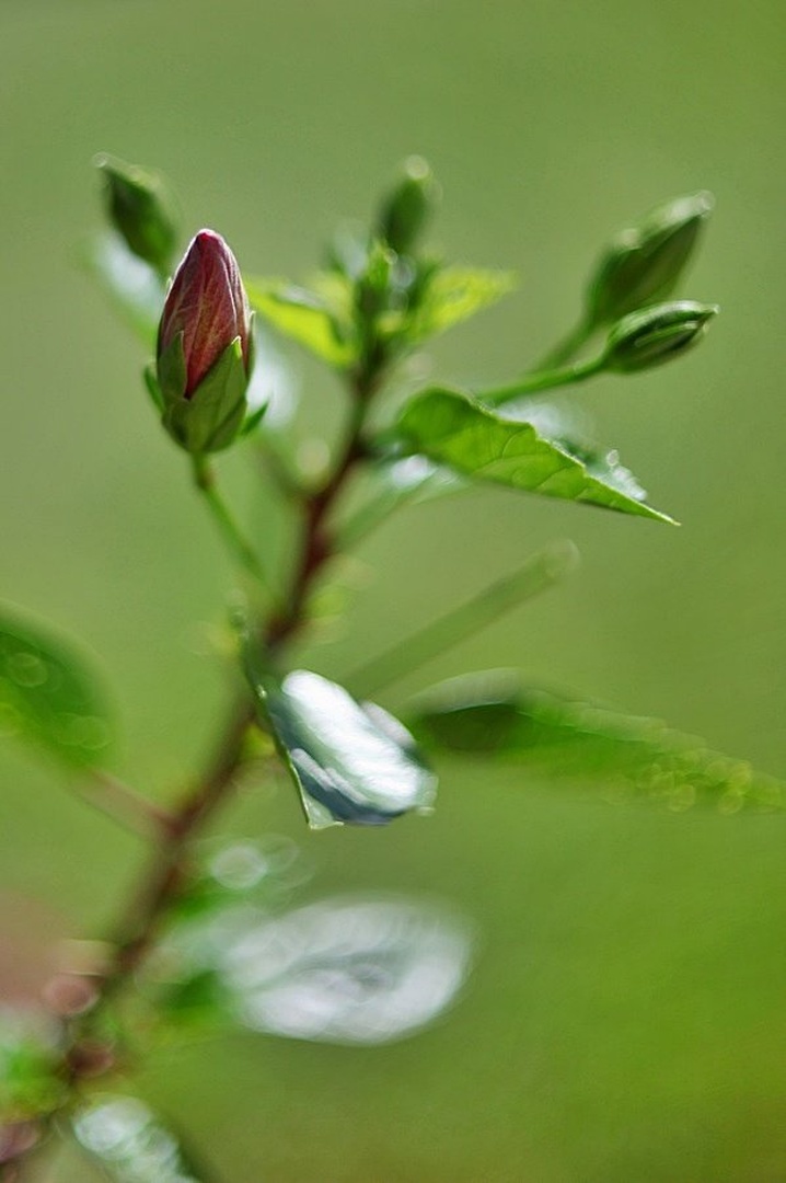 F1.4 by Albin Bezjak