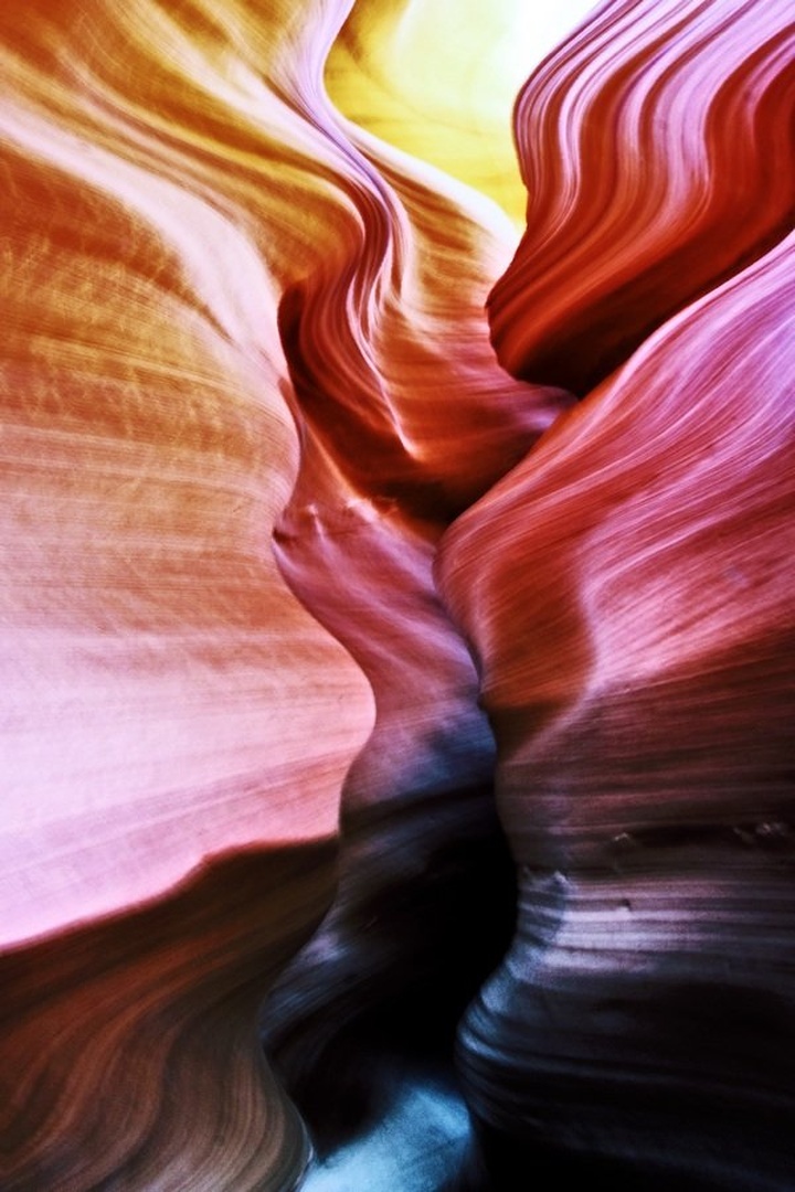 Wild Antelope abstraction by Albin Bezjak