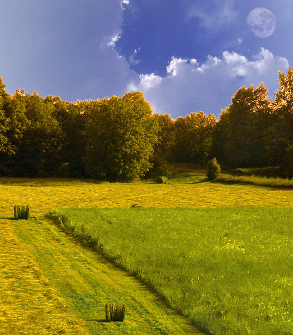 Dream world by